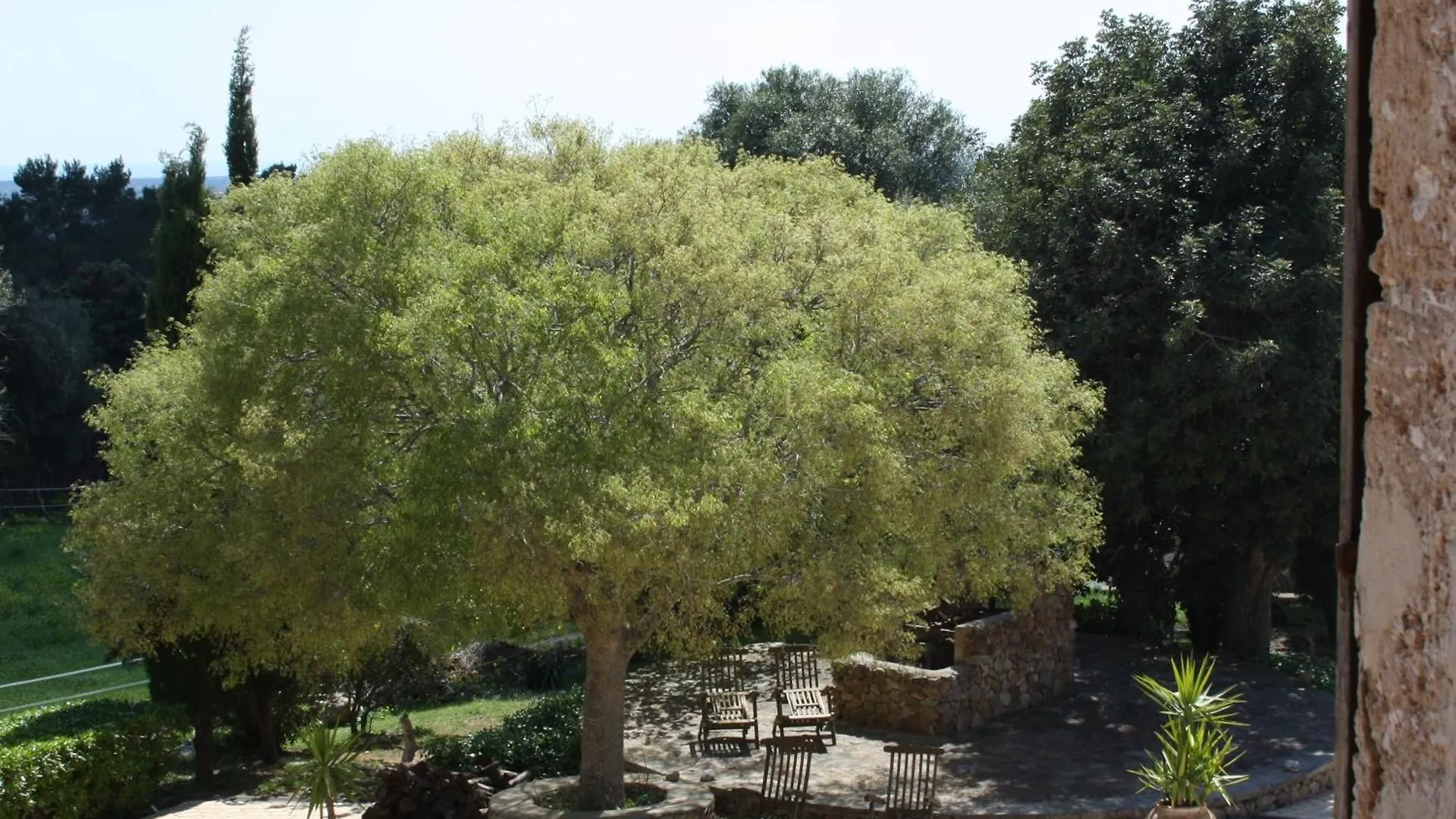לןקמאג'ור Agroturisme Son Sama בית כפרי